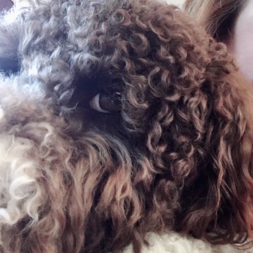 Meet your Posher, Judy